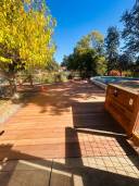 wooden deck in natural environment